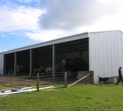smallFarm Shed 6